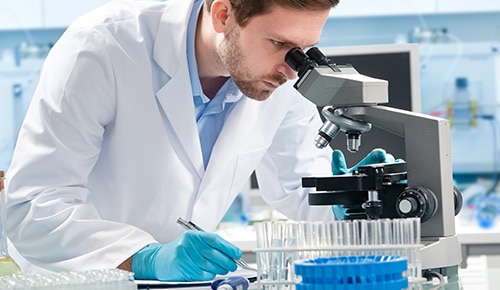 Formation BTS Bio Analyses en Laboratoire de Contrôle en alternance au Lycée Valentine Labbé