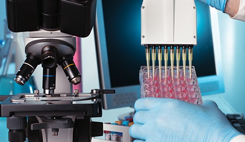 Formation Bio Analyses en apprentissage au Lycée Valentine Labbé