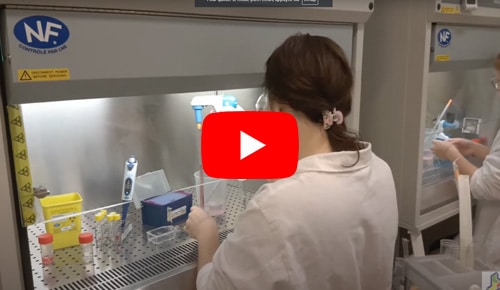 Découvrez le 2ème année BTS Bio Analyses en Laboratoire de Contrôle – Valentine Labbé en vidéo