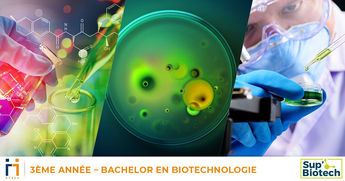 Diplôme Biotechnologie Bac+2 +3 BTS, en Alternance et Apprentissage en passant par l&rsquo;AFI 24 !