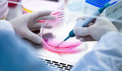 Formation BTS Bioanalyses en laboratoire de contrôle en apprentissage à l'ETSL