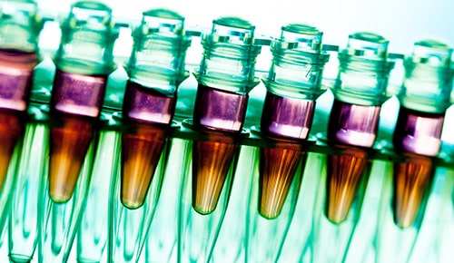 étapes du processus chimique avec la formation Métiers de la Chimie en apprentissage au lycée Galilée