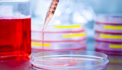 Découvrez les métiers de la chimie en alternance avec le lycée Gustave Eiffel