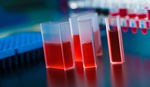 BTS – Métiers de la chimie en apprentissage au Lycée Paul Constans