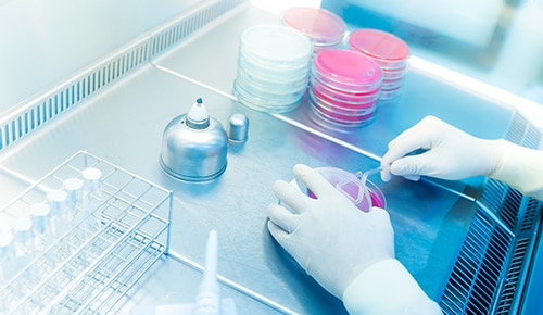 Formation BUT chimie analyse en alternance IUT Créteil Vitry