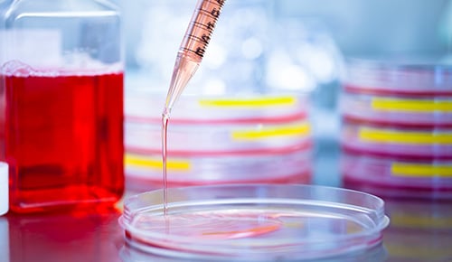 Formation chimie analyse en alternance BUT Chimie – IUT d’Orsay