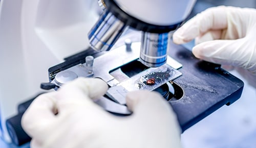 Formation analyse BUT en apprentissage IUT de Béthune