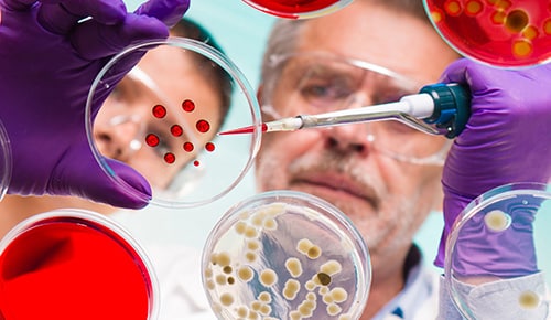 Formation matériaux et produits formules en alternance IUT de Béthune