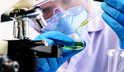 Formation BUT Génie Biologique en alternance IUT de Sénart Fontainebleau