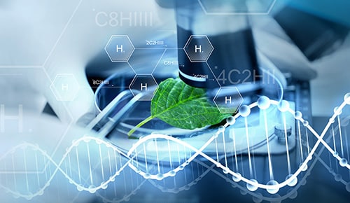 Formation chimie sciences de l'environnement en alternance IUT Sénart Fonctainbleau
