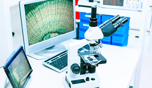 Formation But Chimie en apprentissage IUT Sénart Fontainbleau