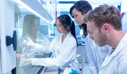 Formation Licence Professionnelle Génomique en alternance à l'ENCPB