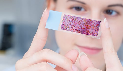 Formation Licence Professionnelle – Chimie Formulation Industrielle en apprentissage à CY Tech Cergy