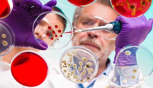 formation Master Chimie Analytique, Physique et Théorique en alternance à la Sorbonne