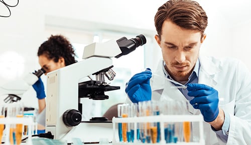 Formation Master Sciences et Génie des Matériaux en alternance à l'université de Tours