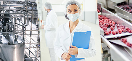 BTS Pilotage de Procédés